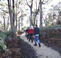 Bridport Walking Track - C Tourism