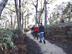 Bridport Walking Track - C Tourism 0