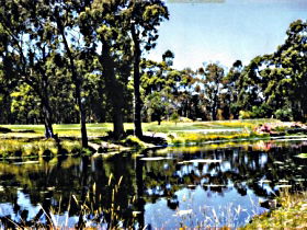 Smithton TAS C Tourism