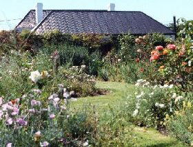 Rosedown Gardens - C Tourism 0