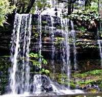 Mt Field National Park - C Tourism