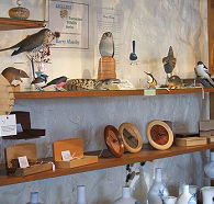Touchwood Craft Gallery Gifts and Cafe - C Tourism