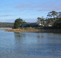 Salty Seas - C Tourism