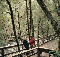 Franklin River Nature Trail - C Tourism