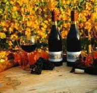 Craigow Vineyard - C Tourism