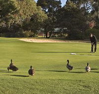 Royal Hobart Golf Club - C Tourism