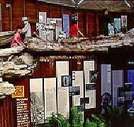 West Coast Visitor Information and Booking Centre - C Tourism