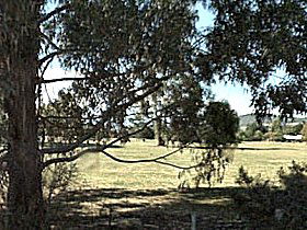 Cygnet Public Golf Course - C Tourism 0