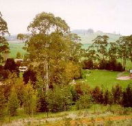 The Tasmanian Arboretum - C Tourism