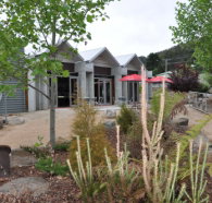 Tin Dragon Interpretation Centre and Cafe - C Tourism