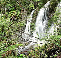 Hogarth Falls - C Tourism