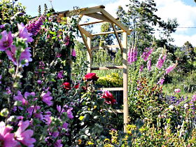 Thelma Retreat Garden And Teahouse - C Tourism 0