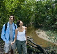 Mooloolah River National Park Jowarra Section - C Tourism