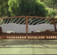 Tasmanian Bushland Garden - C Tourism