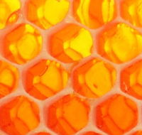 The Honey Pot - C Tourism