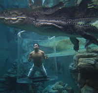 Crocosaurus Cove - C Tourism