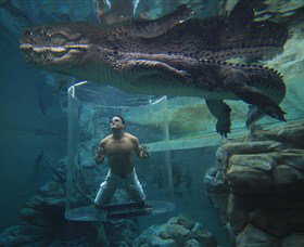 Crocosaurus Cove - C Tourism 0