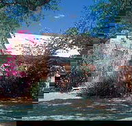 Springvale Homestead - C Tourism