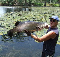 Barra Feeding - C Tourism