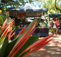 Nightcliff Markets - C Tourism
