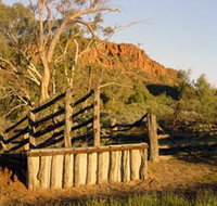 Illamurta Springs Conservation Reserve - C Tourism