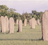 Magnetic Termite Mounds - C Tourism