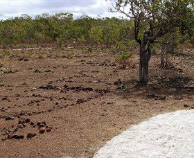 Wurrwurrwuy Garanhan Macassan Beach Interpretive Walk - C Tourism 0