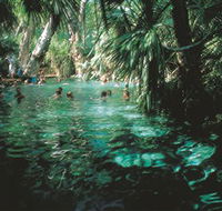 Mataranka Thermal Pool - C Tourism