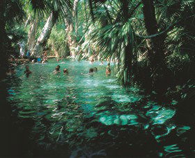 Mataranka Thermal Pool - C Tourism 0