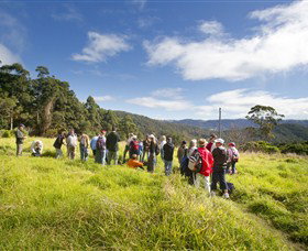 Apple Tree Park - C Tourism 0
