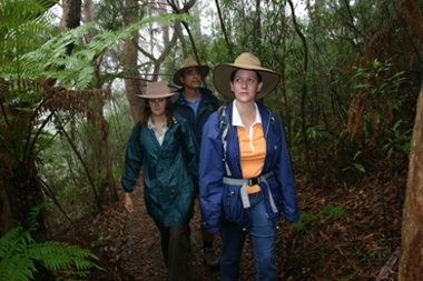 Mount Cougal, Springbrook National Park - C Tourism 0