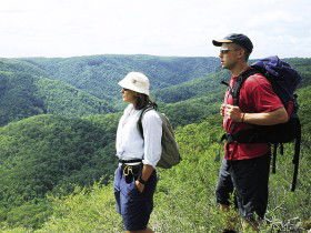 Sunshine Coast Hinterland Great! Walk - C Tourism 0