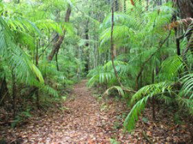 Delicia Road Conservation Park - C Tourism 0