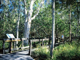 Noosa Heads QLD C Tourism