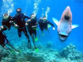 Magic Mountain Dive Site - C Tourism 0