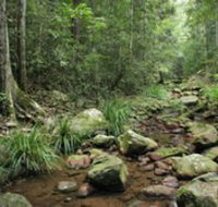 Amamoor State Forest - C Tourism