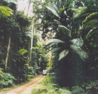 Conondale Great Walk - C Tourism