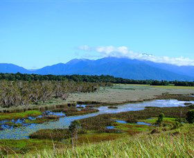 Eubenangee Swamp National Park - C Tourism 0