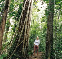 Wet Tropics - C Tourism