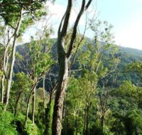 Smiths Track Barron Gorge National Park - C Tourism