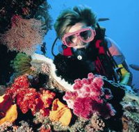 Osprey Reef - C Tourism