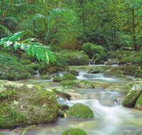 Mossman Gorge Daintree National Park - C Tourism