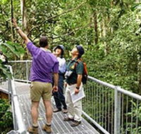 Daintree Discovery Centre - C Tourism