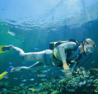 Tijou Reef - C Tourism