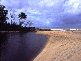 Bramston Beach QLD C Tourism