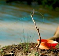 Charleville - Mangalore Warrego River Fishing Spot - C Tourism