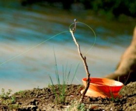 Charleville - Mangalore Warrego River Fishing Spot - C Tourism 0