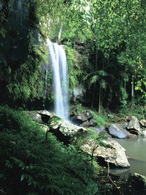 Curtis Falls, Joalah Section - C Tourism 0