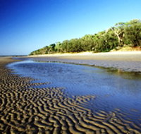 Burrum Coast National Park - C Tourism