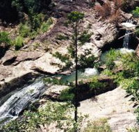 Banksia Track and the Boardwalk - C Tourism